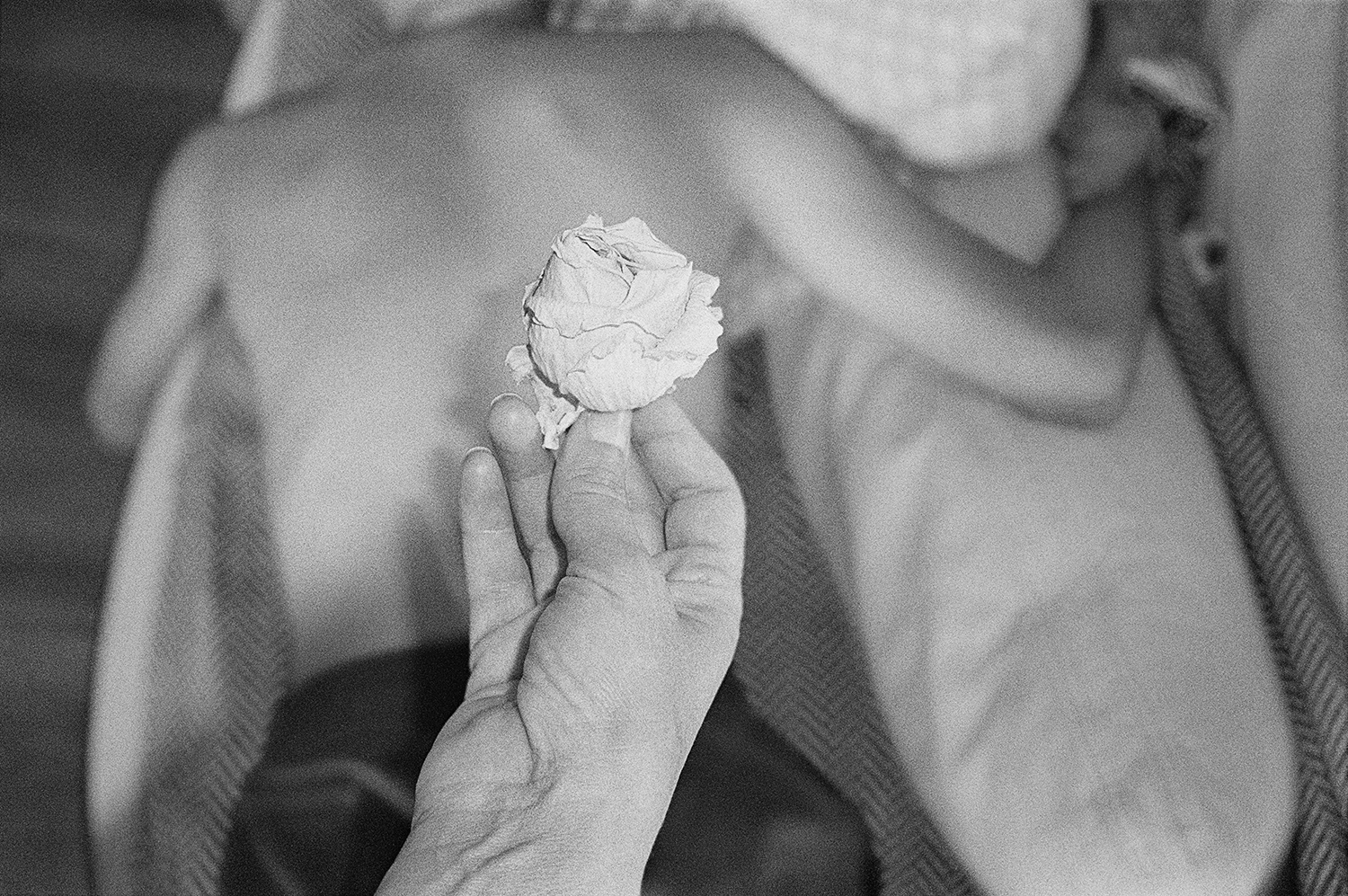 Vartuhi–Invisible Side of Rose Lady